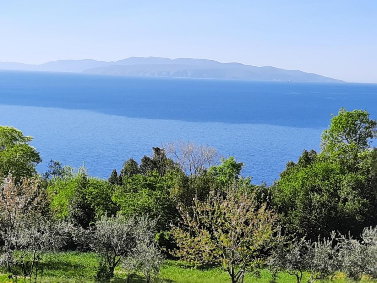 Apartment Donata Rijeka
